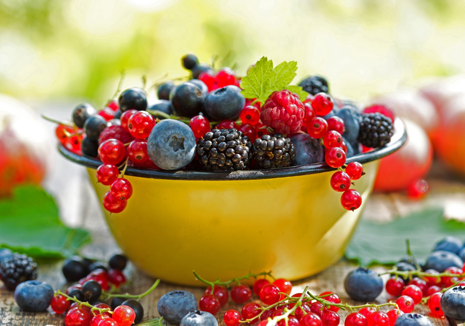Beeren sind die Superfoods des Sommers - meine Rezeptideen - EAT TRAIN LOVE